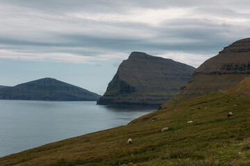 Faroe island beautiful landscape in summer time with sun