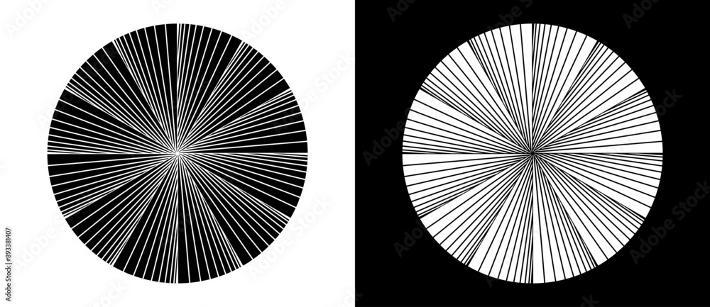 Poster Abstract background with lines in circle. Art design circle concept with 12 segments. Black lines on a white background and white lines on the black side.