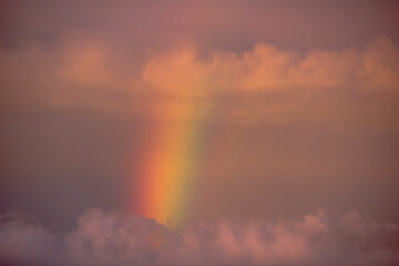 Rainbow in the sky at sunset. Beautiful natural background. Toned.