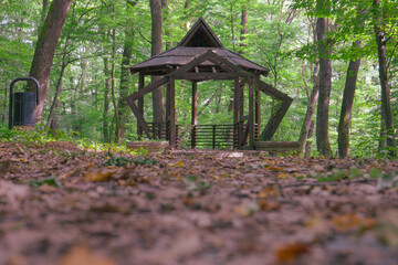 wooden structure