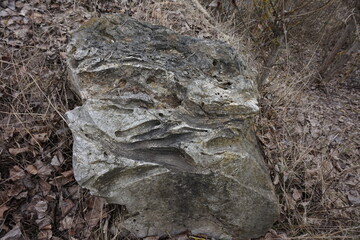 Fossilized volcanic lava with traces of evaporation from the temperature of trees and plants.