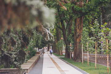 blurred people walking in the street. Abstract blur people in city park bokeh background. Blur and...