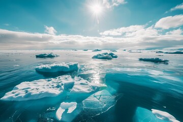 Melting Icebergs in a Pristine Arctic Landscape