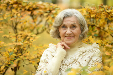 Happy beautiful senior woman in the autumn park. 