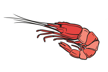 Shrimp hand drawn illustration. Isolated vector on white.