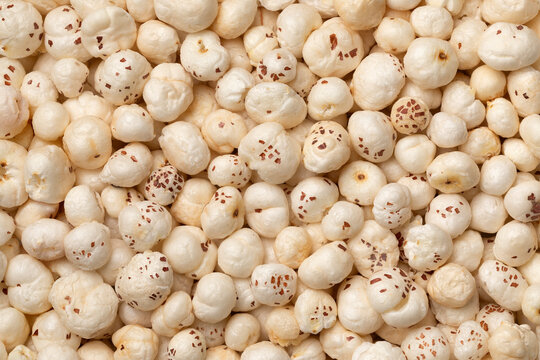  Dried Lotus seed full frame close up as background