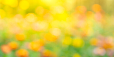 background with bokeh with blurred abstract background