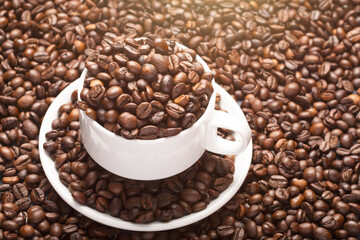 close-up of white cup with white saucer full of roasted coffee beans with sunlight