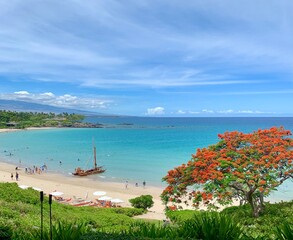 Beach in Hawaii