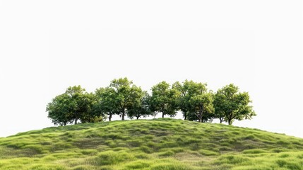 Obraz premium Hill grass tree oak.