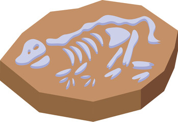 Paleontology skeleton fossil showing prehistoric animal bones indicating ancient life form © ylivdesign