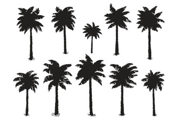 Obraz premium Black palm tree set vector illustration on white background silhouette art black white stock illustration