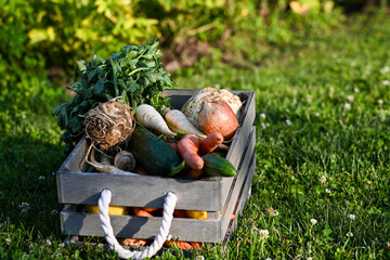 Fresh organic vegetables are overflowing from a wooden crate in a garden