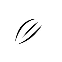 vector black claw scratches