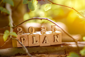 Action Plan 2025 Cube with text 2025 plans, goals, actions to list and plan for next year. Wooden...