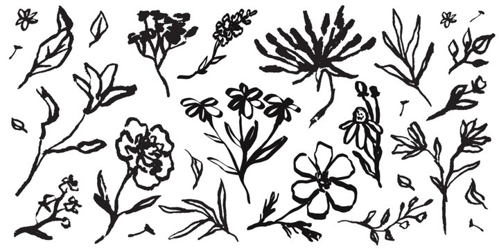Tattoo flower collection. Contemporary abstract minimal art in charcoal or crayon drawing style botanic plant vector illustration. Ink hand drawn wild flowers set. Pencil drawn floral elements.