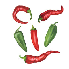 Set of aromatic culinary spice, ripe hot pepper jalapeno, red chili. Watercolor hand drawn painting illustration isolated on a white background