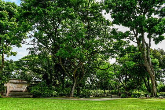 Fort Canning Park in Singapore