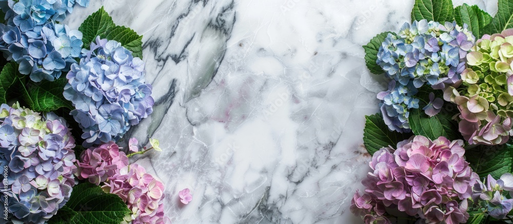 Poster an overhead perspective of a marble surface adorned with vibrant hydrangea flowers featuring ample c