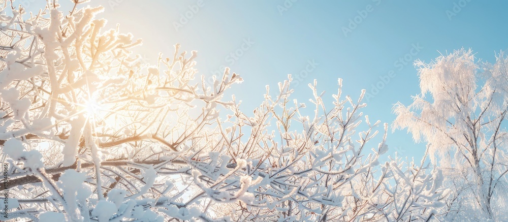 Poster winter s sunny day illuminating frozen trees with a copy space image