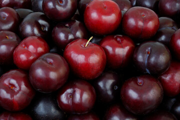 Ripe cherry plums close up