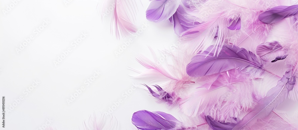 Poster white background adorned with lovely purple and soft pink feathers includes copy space image