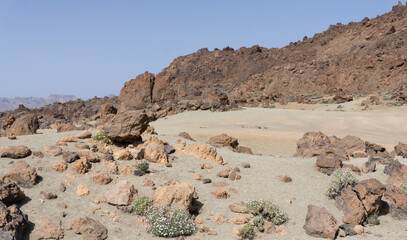 Parque nacional de Teide