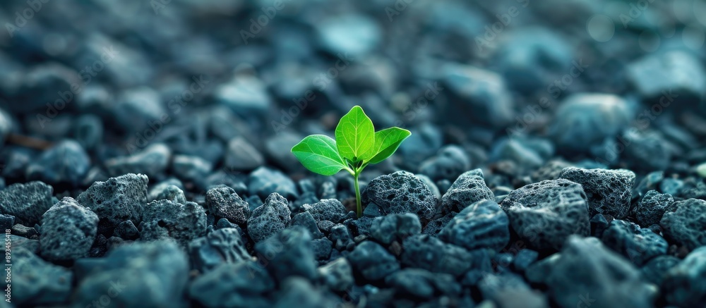 Aufkleber green weeds emerging through a gravel surface symbolize survival ideal for text the copy space image