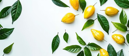 Flat lay composition of tasty carambola fruits and leaves against a white backdrop with copy space image