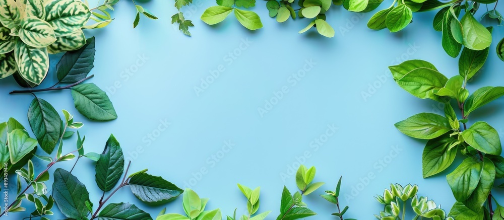 Aufkleber spring themed creative frame featuring various types of green leaves set against a blue backdrop wit