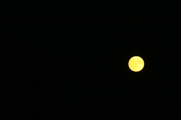 Mond