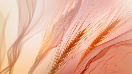 Horizontal header with modern colorful design. ​​with tan pinkish brown and wheat color Graphics with space