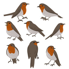 vector drawing bird, european robin, hand drawn Erithacus rubecula, isolated nature design element