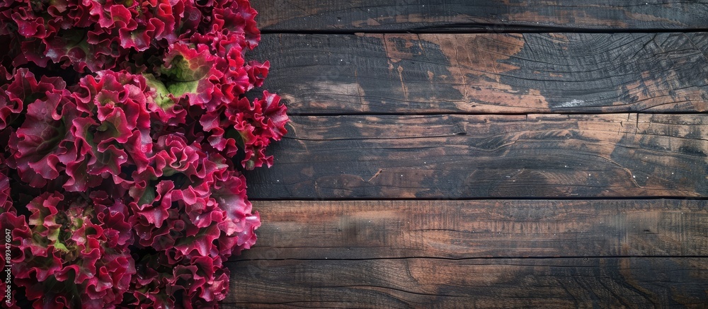 Poster top down view of vibrant red coral lettuce on a wooden surface with room for text in the background 