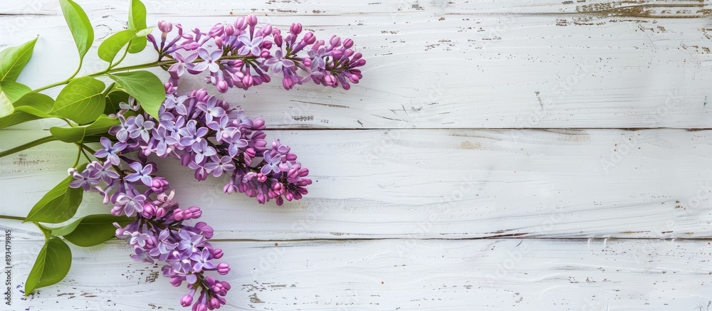 Poster Close up of a lilac branch displayed on a white wooden table with a spacious area for copyspace image