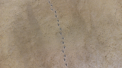 Luftaufnahme von Wattboden in Nordfriesland mit Fußspuren im Watt