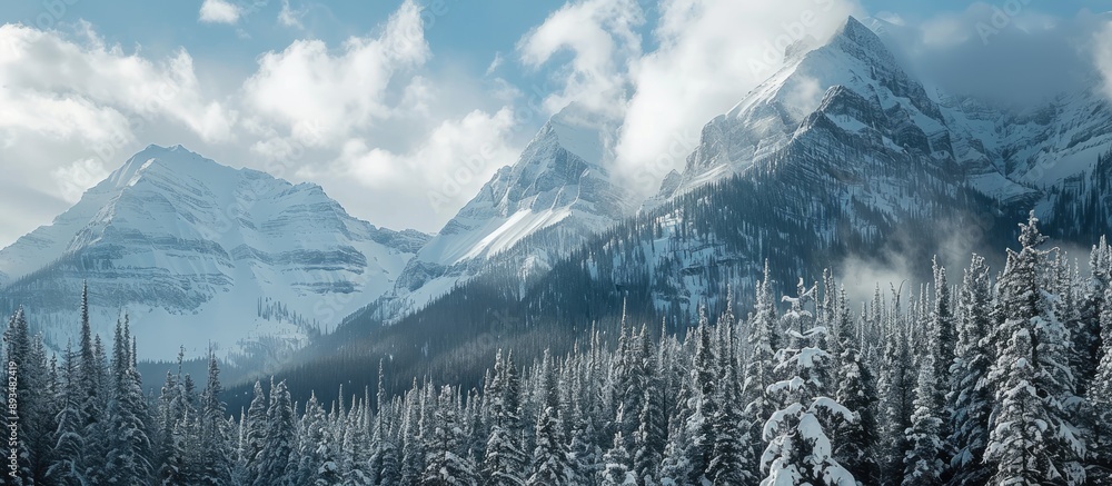 Aufkleber winter mountain landscape featuring snow covered spruce trees on towering peaks under a cloudy sky w