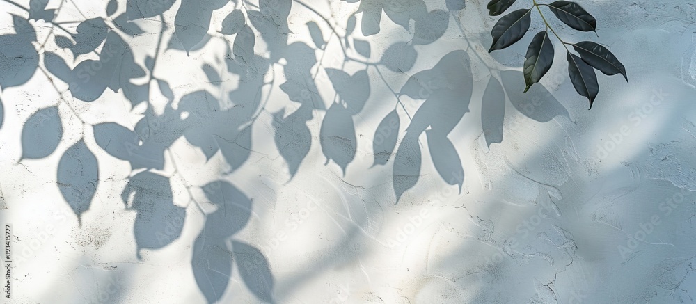 Canvas Prints Natural tree shadows creating abstract leaf patterns on a white wall background perfect as a copy space image for wallpaper or designs