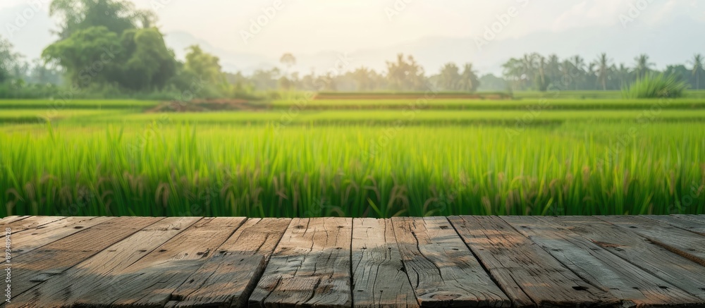 Poster daytime view with a wooden table top set against a blurred rice field backdrop ideal for product dis