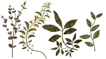 set of green watercolor sprigs of plants, herbs on a white background. botanical illustration