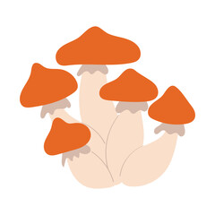 Bunch of mushrooms. Colorful vector illustration of forest mushrooms isolated on white background