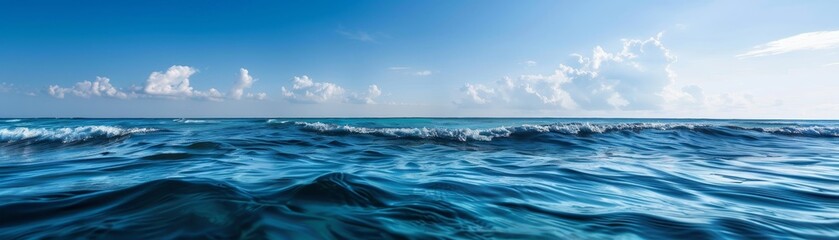 The ocean is calm and blue with no clouds in the sky