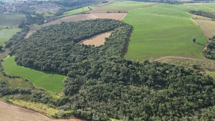 Landscape with protective forest