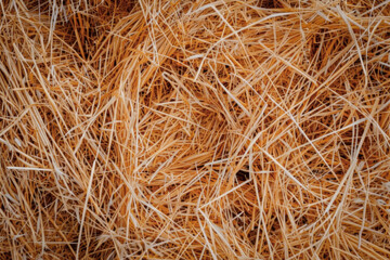 Straw texture