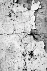 Obraz premium White grunge texture