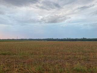 Fototapeta premium Panorama of sunrise at dawn in the field