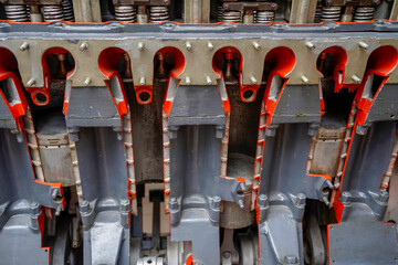 Fototapety na wymiar - Fototapeta24.pl