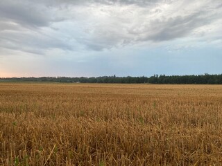 Panorama of sunrise at dawn in the field