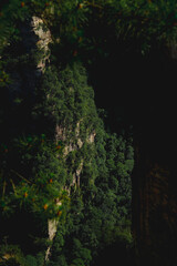 Zhangjiajie national forest park, China, Glass bridge of Zhangjiajie China Tianzishan with blue sky, concept of world heritage, avatar, heritage peak or cliff mountain, tourist attraction famous place