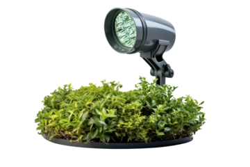 solar-powered spotlight, highlighting a landscape feature or architectural detail. Isolated on white background